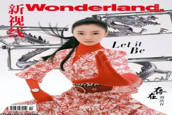 《太子妃升职记》剧情解析|古装穿越爱情与幕后故事揭秘