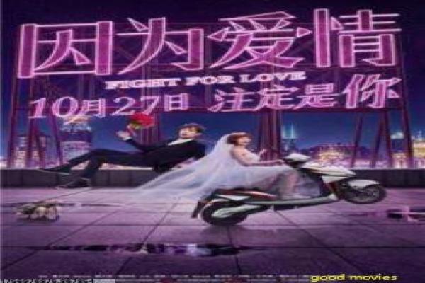 《隧道》时间穿越设定与悬疑结构解析