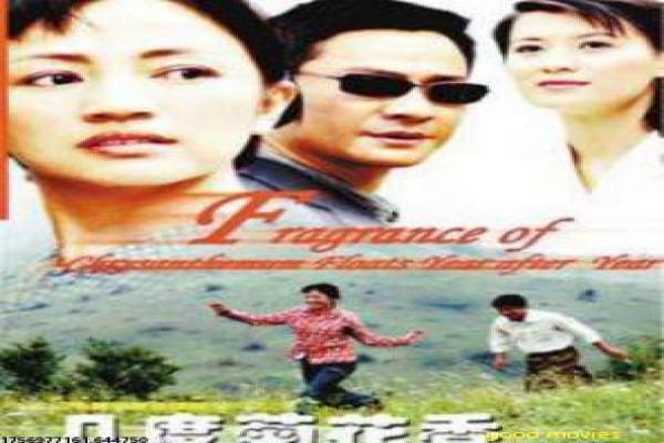 Norma Stitz影视详解全面,主题情感解读