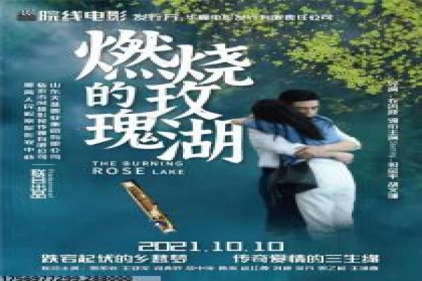 《叶问外传张天志》剧情解析|咏春延续故事