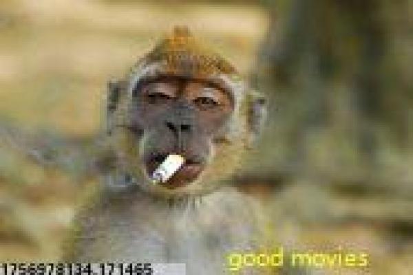 毕业生社会压力青春电影情节详解