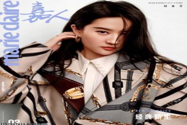 《仙女下凡》下凡仙女影片详细解析及天仙凡尘分析