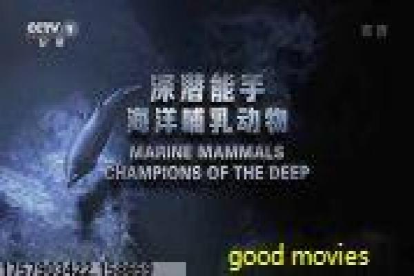 《勇者义彦与魔王城》故事情节深度还原勇者义彦的魔王冒险