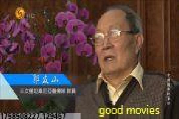 《宜昌保卫战》保卫宜昌影片详细解析及抗战