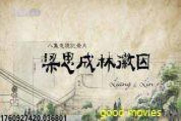 《魔幻视界》魔幻视觉视界的奇幻故事情节全揭秘