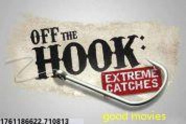 《男兵女连长》男兵女连长的热血军旅故事情节完整还原