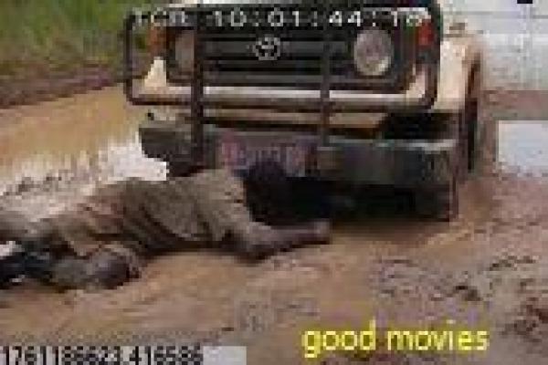 《极速漂移》极速漂移极速赛车漂移的热血故事情节深度还原