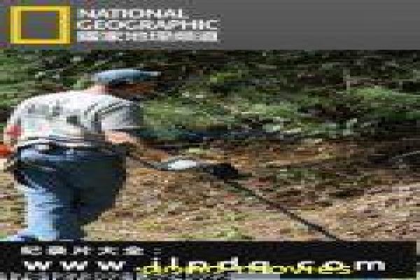 《银河护卫队3》故事情节深度还原,银河护卫队3的宇宙冒险过程