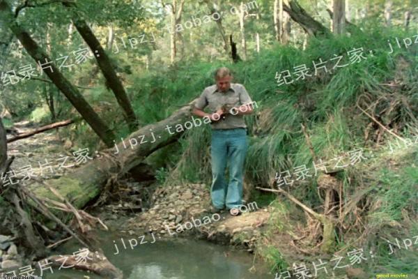《告白在线观看》告白的青春黑暗,详细还原日本剧情片的校园与复仇