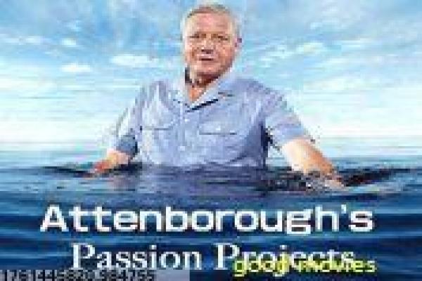 霹雳火国语高清-霹雳火国语高清功夫,高清国语版电影影片简介街头少年的武侠热血