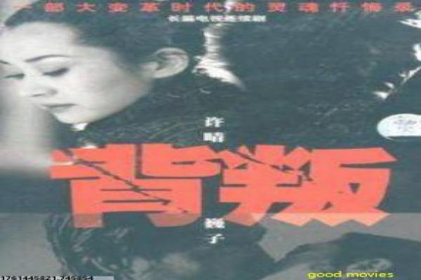 《新圣水湖畔》影片解析,新圣水湖畔乡村的剖析