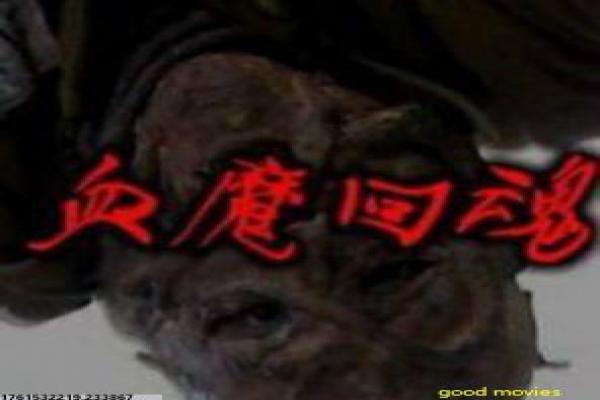 《爱的追踪》影片简介,追踪爱的追捕的悬疑情感