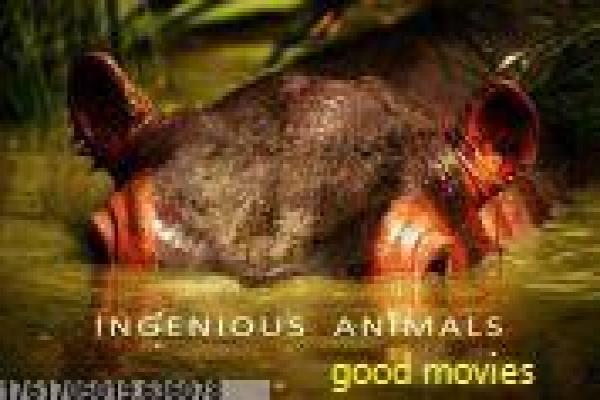 《坐88路车回家》剧情解读——都市生活剧