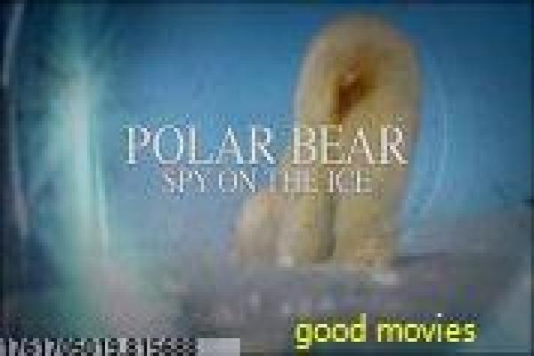 英雄祭演员表-英雄祭的抗战传奇,深度解析国产剧的英雄与牺牲