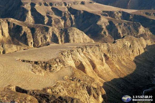 《漫画兄弟》影视讲解,漫画兄弟创作的青春