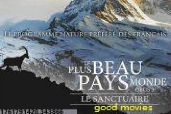 画江湖之换世门生第二季-穿越江湖权谋续集