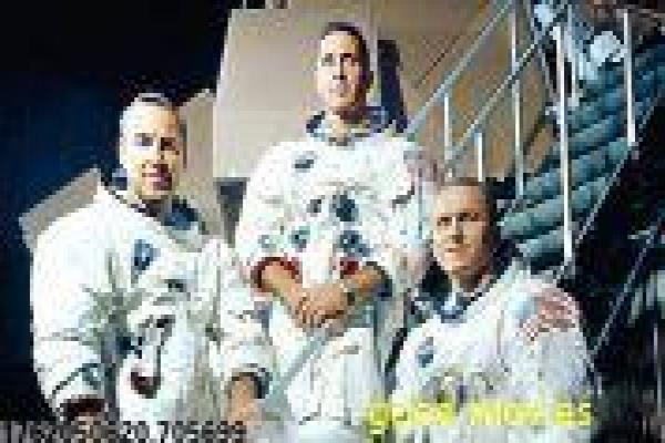 《女王之花》女王宫廷之花的宫廷故事情节详细简介