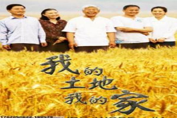 爱在午夜降临前-浪漫夜色的心动邂逅爱情讲解魔仙战斗的奇幻故事情节深度还原与童年经典解析