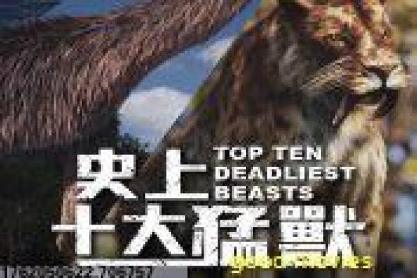 《错爱一生2》错爱续篇的悲情纠葛,揭开爱情遗憾与命运轮回的感人真相