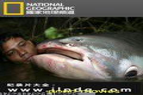 《猎捕第一季》猎捕第一季的惊险追捕故事情