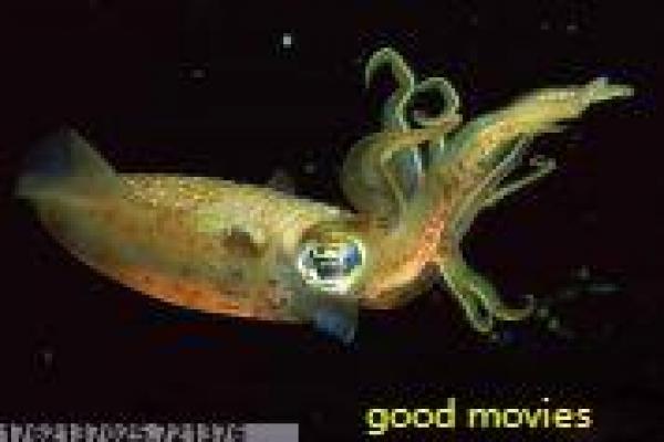 《猎神,冬日之战(国语版)》影视讲解全析