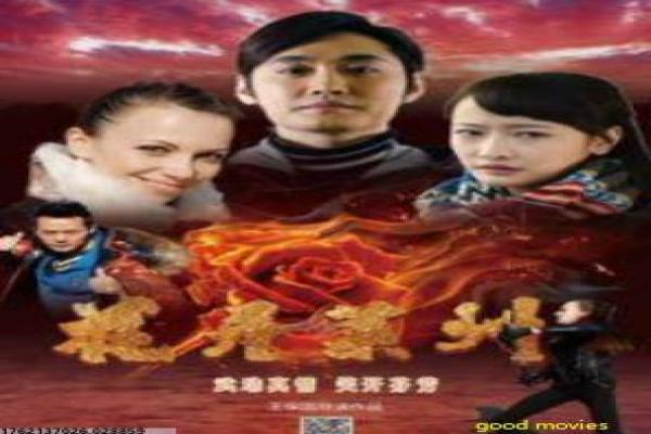 哈利波特与魔法石在线-哈利初入霍格沃茨魔法世界在线影片简介街头争斗的热血故事情节深度还原与台湾黑帮文化剖析