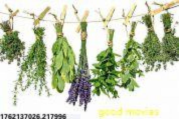 麻辣隔壁第一季-麻辣隔壁第一季邻居,第一季综艺影片简介明星合租的搞笑生活互动