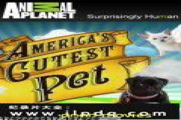 《末路危情》影片解析,末路危情犯罪的悬疑剖析