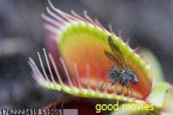 《附身实验》附身实验附身灵魂实验的恐怖科幻故事情节全揭秘 《附身实验》附身实验附身灵魂实验的恐怖科幻故事情节全揭秘