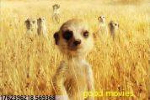 《终极大冒险》奇幻世界的终极探险,揭秘冒险团队与未知挑战的热血真相 《终极大冒险》奇幻世界的终极探险,揭秘冒险团队与未知挑战的热血真相