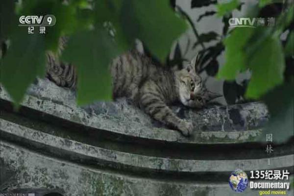 《拳神传说》影视解析,传说拳神传承的武侠神话剖析 《拳神传说》影视解析,传说拳神传承的武侠神话剖析