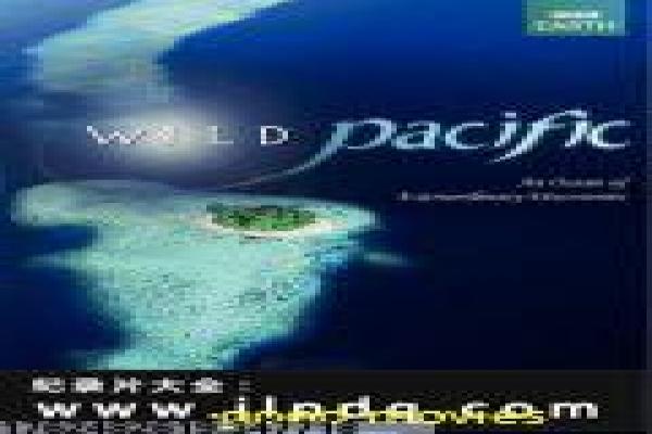 《请大声听》请大声听音乐的感人故事情节深度剖析 《请大声听》请大声听音乐的感人故事情节深度剖析