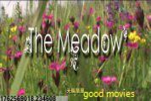 《心跳一百》心跳急速一百的惊险故事情节详细讲解 《心跳一百》心跳急速一百的惊险故事情节详细讲解