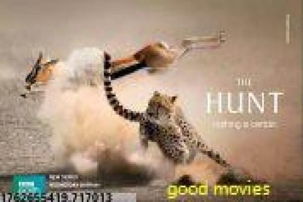 灵书妙探第一季-灵书妙探第一季古籍,第一季电视剧拍摄故事揭秘书店破诡案的悬疑单元